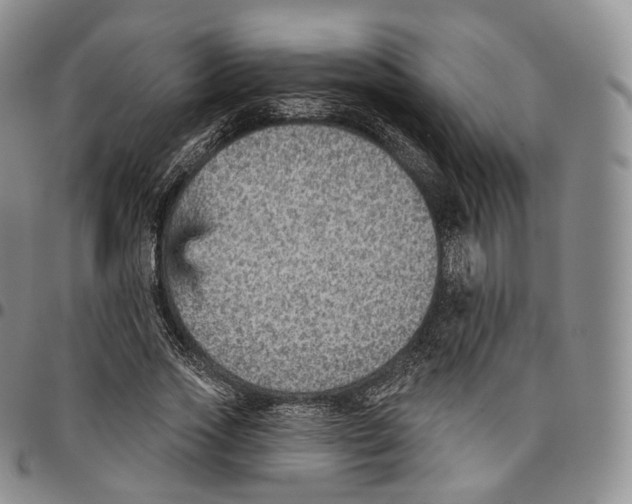 X0000096690733200803041300