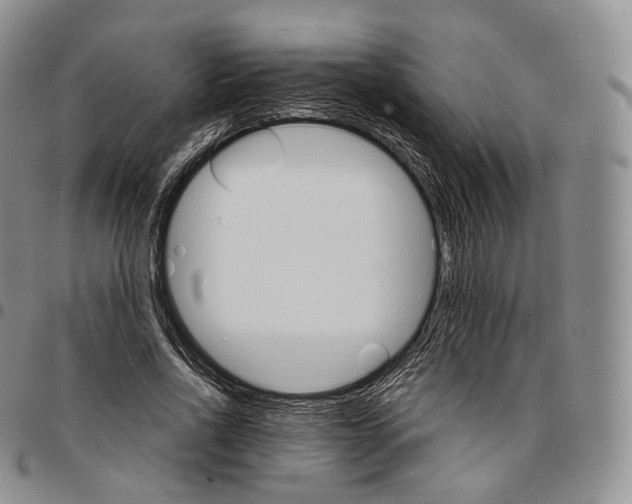 X0000096690734200803041300