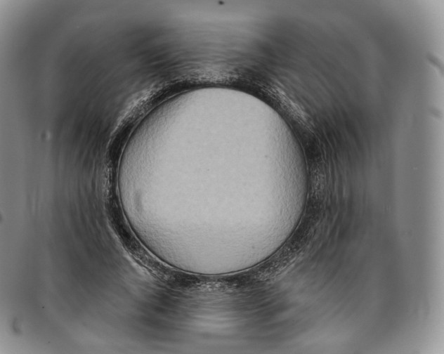 X0000096690736200803041300