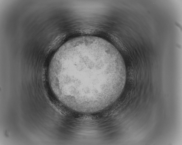 X0000096690738200803041300