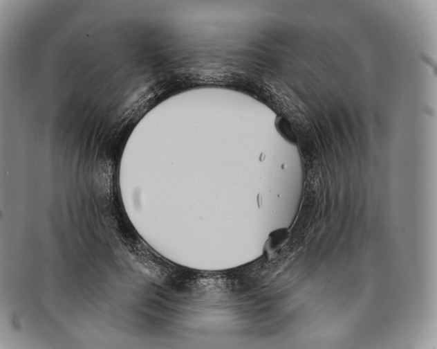 X0000096690744200803041300