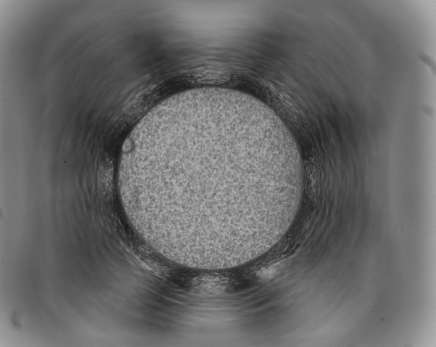 X0000096690745200803041300