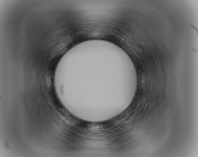 X0000096690746200803041300