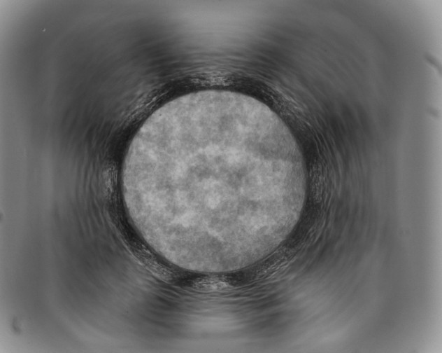 X0000096690747200803041300