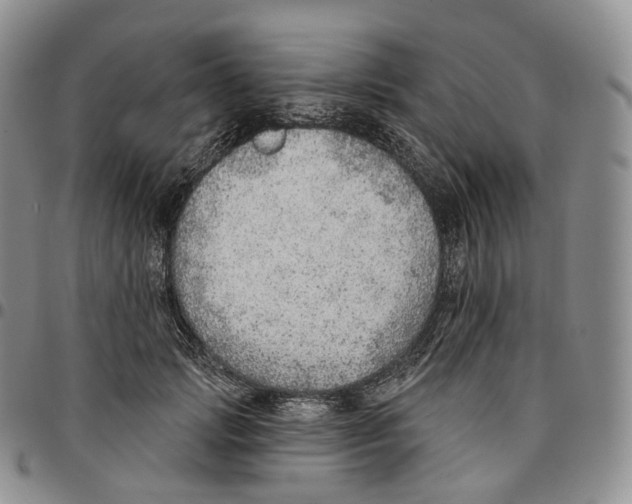 X0000096690749200803041300