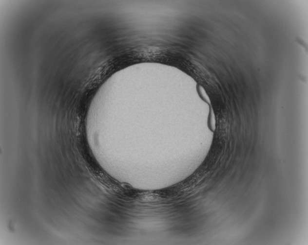 X0000096690750200803041300