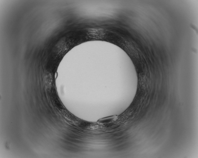 X0000096690752200803041300