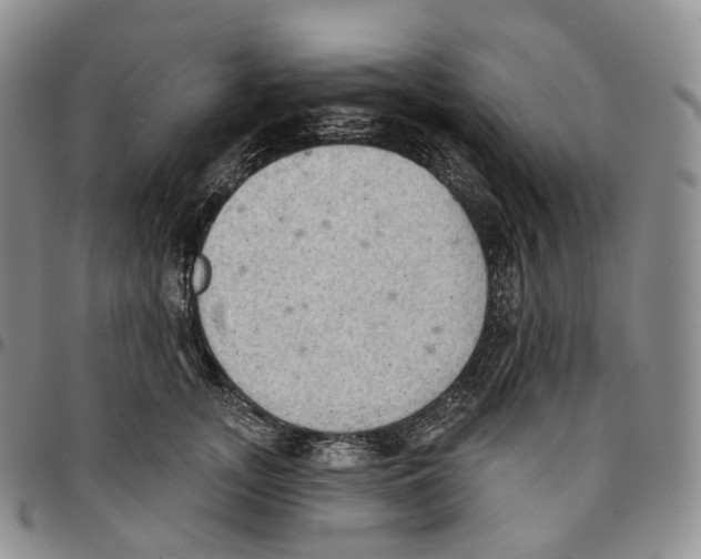 X0000096690755200803041300