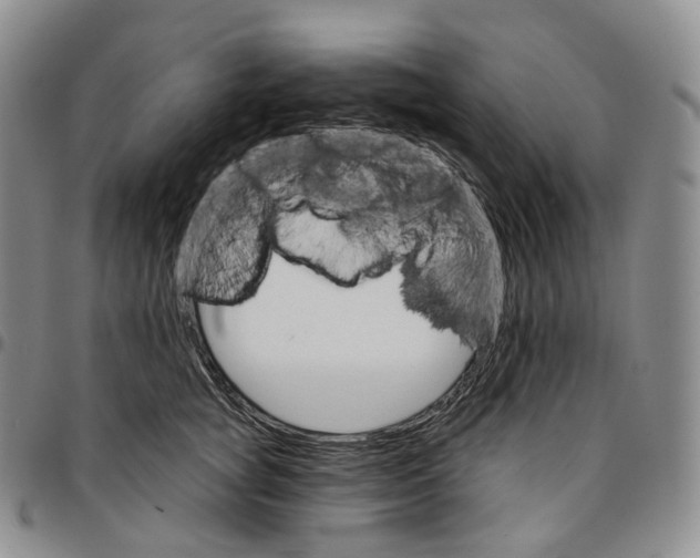 X0000096690757200803041300