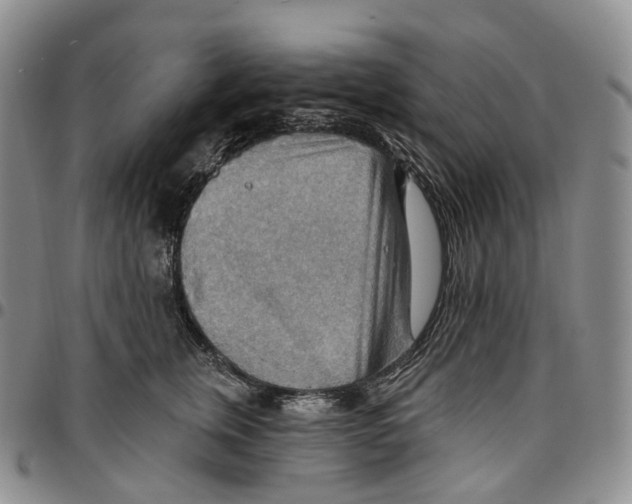 X0000096690759200803041300