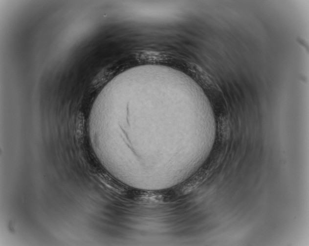 X0000096690760200803041300