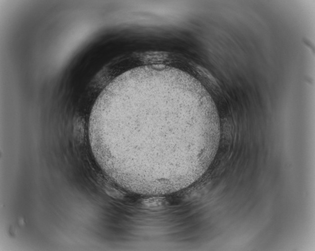 X0000096690761200803041300