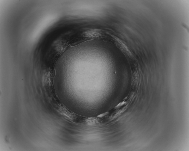 X0000096690762200803041300