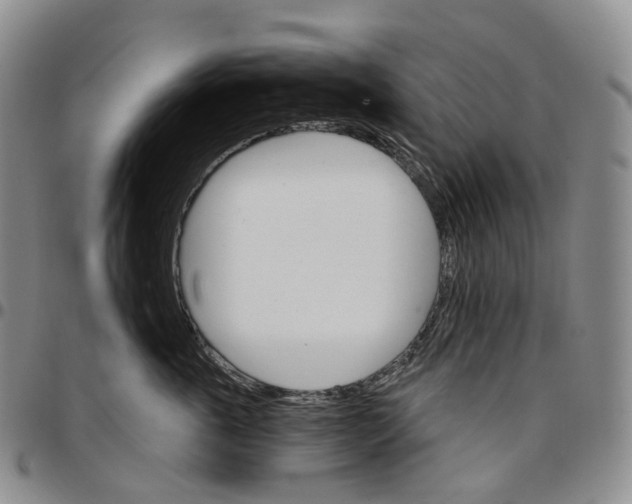 X0000096690763200803041300