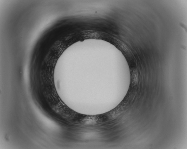 X0000096690764200803041300