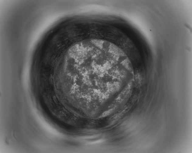 X0000096690765200803041300