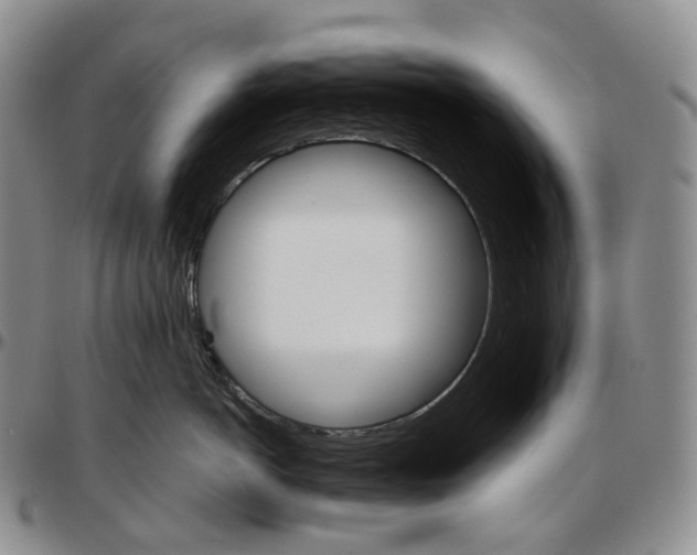 X0000096690766200803041300