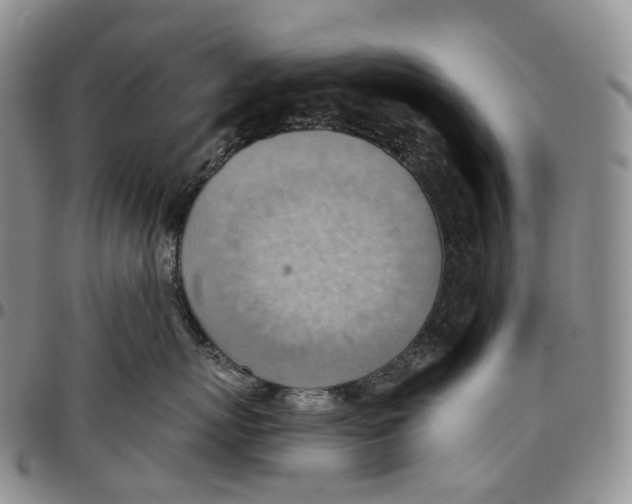 X0000096690767200803041300