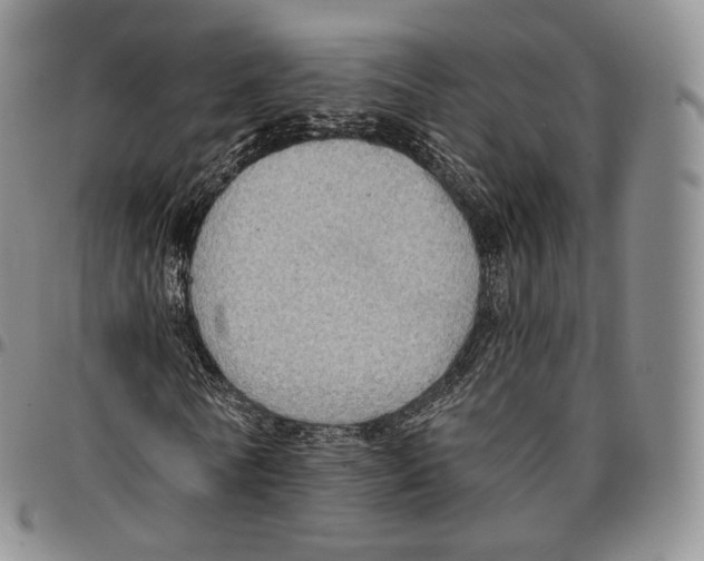 X0000096690770200803041300