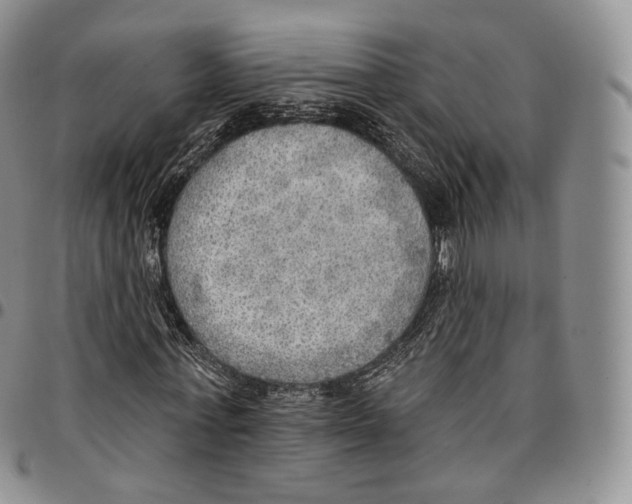 X0000096690771200803041300