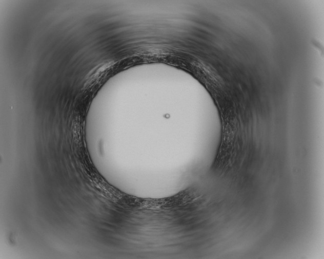 X0000096690773200803041300