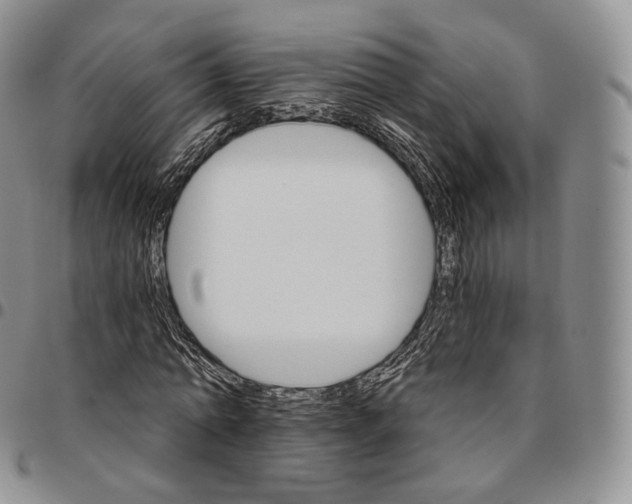 X0000096690774200803041300