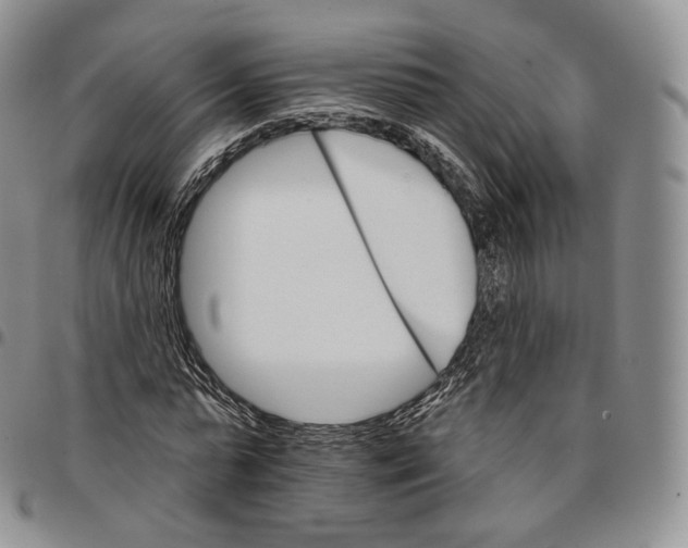 X0000096690775200803041300