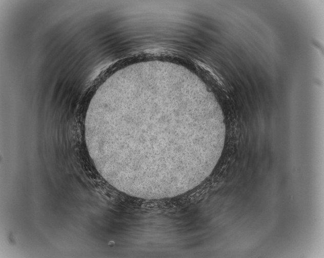 X0000096690776200803041300