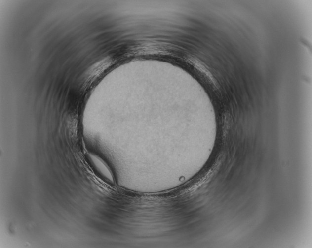 X0000096690777200803041300