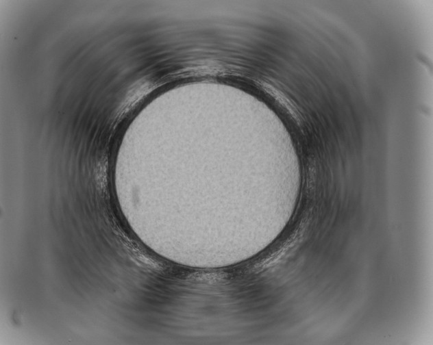 X0000096690778200803041300