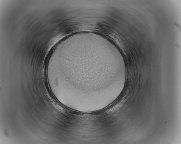 X0000096690779200803041300