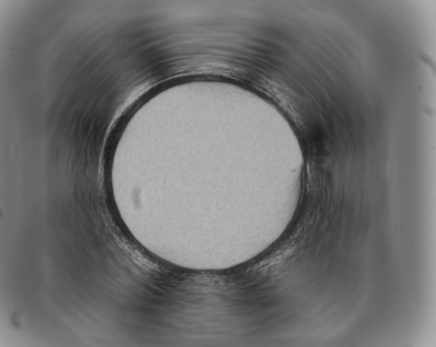 X0000096690780200803041300