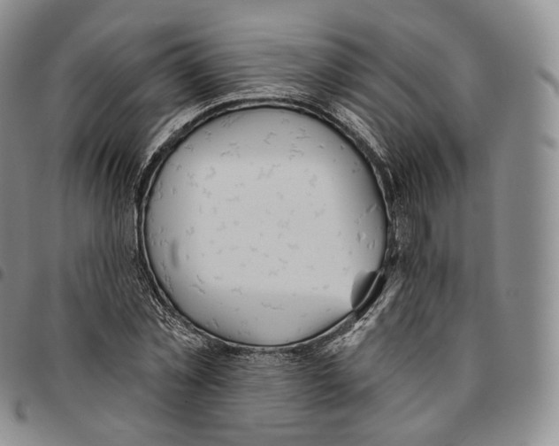 X0000096690781200803041300