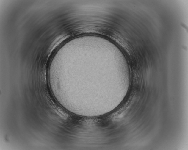 X0000096690782200803041259