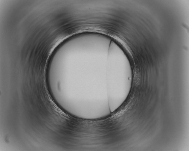 X0000096690783200803041259