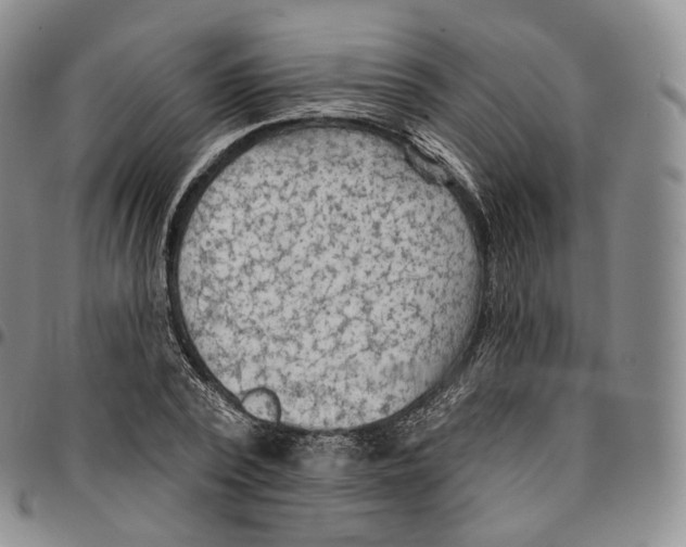 X0000096690784200803041259