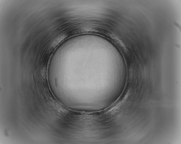 X0000096690785200803041259