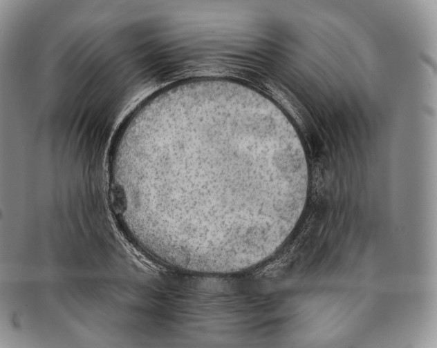 X0000096690787200803041259