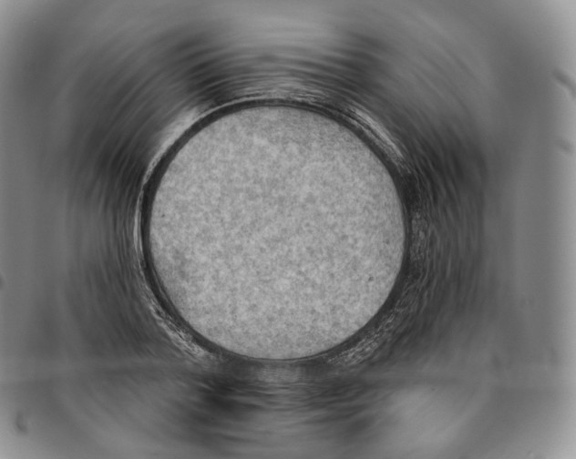 X0000096690788200803041259