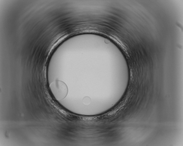 X0000096690790200803041259