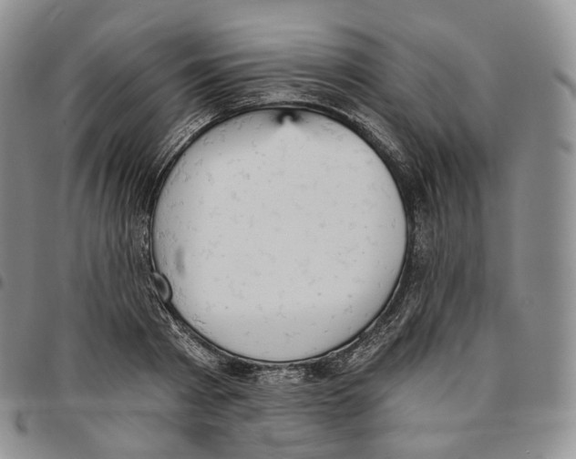 X0000096690793200803041259