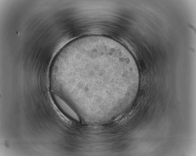 X0000096690795200803041259