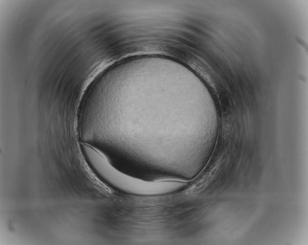 X0000096690797200803041259