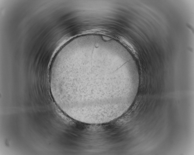 X0000096690800200803041259