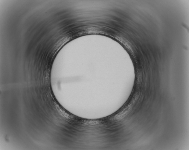 X0000096690801200803041259