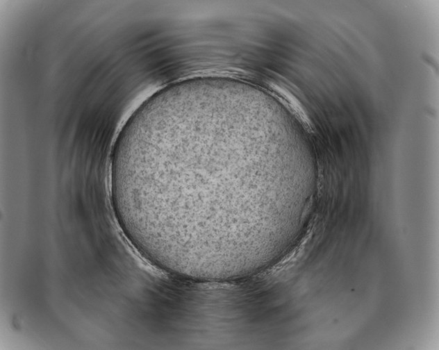 X0000096690804200803041259