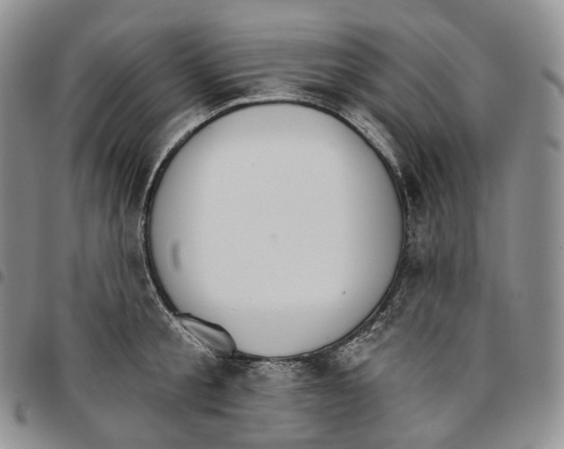 X0000096690805200803041259