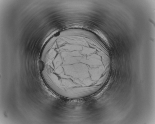 X0000096690806200803041259