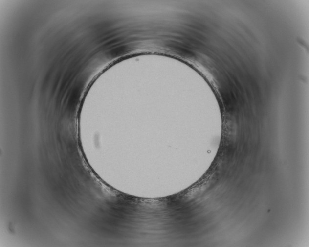 X0000096690807200803041259