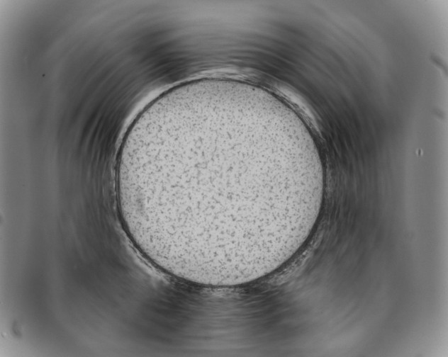 X0000096690808200803041259